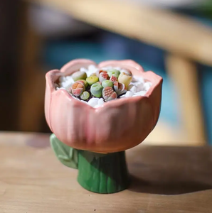 ขายส่ง <span class=keywords><strong>Lithops</strong></span> หม้อเซรามิกหม้อแผนธรรมชาติมินิ <span class=keywords><strong>lithops</strong></span> หม้อดอกไม้พืชในร่ม - Product Image 2