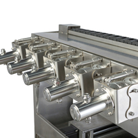 Machine de remplissage pharmaceutique pour petite bouteille en verre de flacon Machine de remplissage d'ampoule 5 têtes 2 plateaux eau haute précision