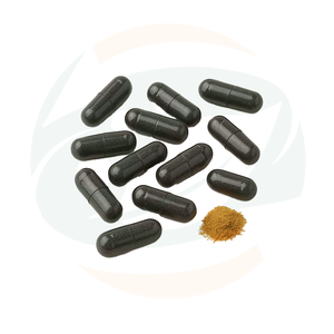 OEM ODM 보충제 히말라야 시라짓 레진 캡슐 85가지 미네랄 풍부한 두뇌 지원 허브 보충제 남성 강화 - Product Image 2