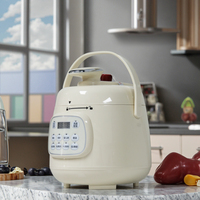 Mini autocuiseur électrique multifonction 2,5 L avec 6 fonctions pour usage domestique