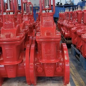 Conexión de Puerta de Agua FM de Alta Calidad 300 PSI, Tipo OS&Y, Ranurada, para Riego, de 2'' a 12'' - Product Image 3