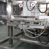 Ligne d'emballage automatique de granulés de bois 100 g à 2000 g, machine de conditionnement VFFS (formage, pesage, remplissage, scellage) en acier inoxydable 304