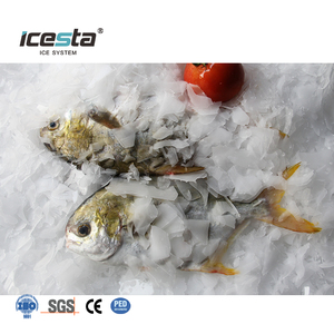 ICESTA Planta de Hielo en Escamas Industrial de 20 Toneladas, de Larga Vida Útil, Ahorro de Energía, Alta Fiabilidad, con Sistema Automático de Recogida de Hielo - Product Image 6