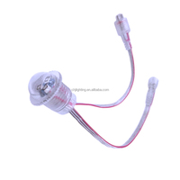 Lampes LED RGB CHJ Carnival Carousel 20mm UCS1903 12V IP65 pour manèges et parcs d'attractions