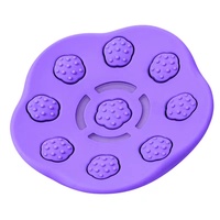Neuheit: Silikon-Magnet-Lade-Vibrator für Brustwarzen-Massage mit Fernbedienung, 99 Punkte, 6 Temperaturstufen