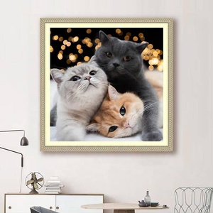 Peinture Diamant 5D DIY en Gros pour Décoration Intérieure, Peinture Diamant Complète 5D en Résine Ronde, Motif Chat Animal, Peinture Diamant DIY Colorée - Product Image 2