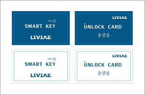 Contrôleur de moteur de scooter électrique Liviae Liya 52V 30A/60V 35A/72V 45A 50A avec démarrage par carte NFC et configuration via application sur écran central - Product Image 5