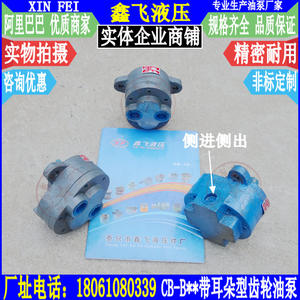 Pompe à huile CB-B16RB20RB25RB32R avec entrée et sortie latérales à engrenages de type oreille pour huile moteur D, huiles différentielles - Product Image 3