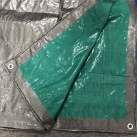 Bâche en tissu enduit de PE vert, résistante à l'eau, aux déchirures et aux UV, HDPE+LDPE 120GSM, pour tentes d'extérieur et usage agricole