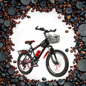 Bicicleta Plegable de Acero de Alto Carbono de 18-20 Pulgadas Personalizada al por Mayor, Bicicleta Plegable con Suspensión Completa para Niños con Pedal Ordinario - Product Image 3