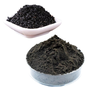 Black <strong>Ant</strong> King <strong>Powder</strong> 10:1 Extract (Green Biotech) for Immunity Support - Product Image 4