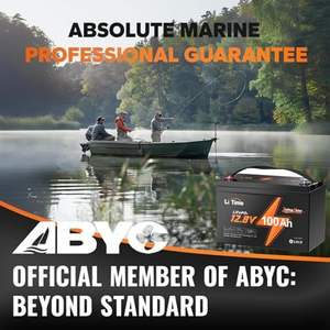 LiTime 12V 100Ah TM 배터리 팩 그룹 31 요트/가정용 저온 보호 드롭 배송 리튬 이온 팩 - Product Image 2