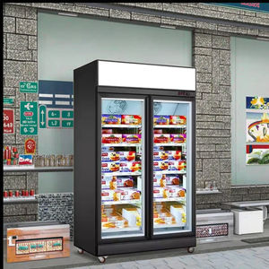 <span class=keywords><strong>Congélateur</strong></span> de boissons debout de grand volume Réfrigérateur vitrine verticale avec lumière LED Refroidisseur d'affichage de climat frais à vendre - Product Image 2