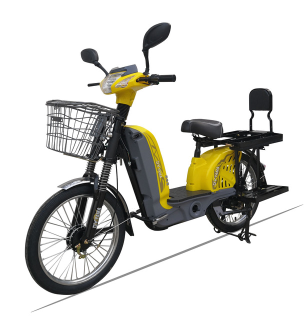 Heavy Loading Electric Bicycle for Delivery 60v 12Ah 48V12AH Pedal Assisted /cargo Bike/e Bike
