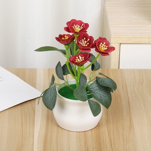 Vente directe d'usine de roses en pot, fleurs de prunier, articles décoratifs en pot créatifs et touchants pour hôtels et restaurants - Product Image 6