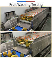 Fengxiang Grote Capaciteit RVS 304 Mango Verwerkingslijn Fruit Groenten Automatische Voedings- Was- en Blancheringsmachine 1