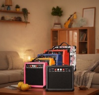 Amplificateurs de guitare/basse électriques sur mesure en gros, matériau ABS, mini-haut-parleurs de 12 pouces, puissance de 20 W, personnalisation du logo prise en charge