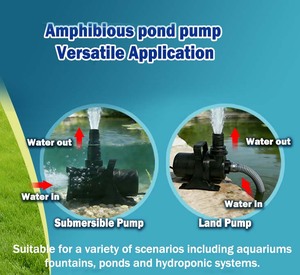 Pompe submersible en ligne Heto à prix d'usine, OEM, haute pression, débit réglable, arbre en céramique, pour fontaines et bassins à poissons 1 - Product Image 4