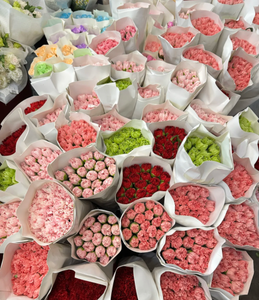 Hoa cẩm chướng tươi có sẵn để bán buôn ở dounan, Côn Minh, tỉnh Vân Nam cho ngày của mẹ - Product Image 6