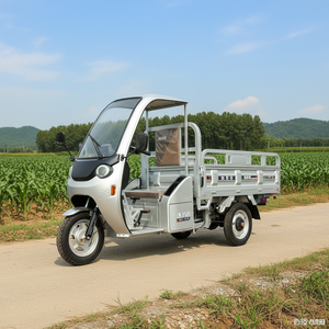 Tricycle électrique de fret Xinhaoze >1000W >60V, autonomie 70-90km, carrosserie ouverte, directement de l'usine du Jiangsu, personnalisable - Product Image 1