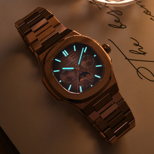 <span class=keywords><strong>Montre</strong></span> mécanique <span class=keywords><strong>automatique</strong></span> <span class=keywords><strong>de</strong></span> luxe pour homme CARNUIVAL, étanche 50m, bracelet en acier inoxydable, lumineuse, tendance, affaires, nouveauté - Product Image 5