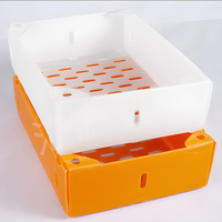 Fabricant poly PP ondulé tomate fraîche raisin emballage en plastique fruits stockage empilable expédition boîte de circulation