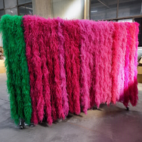Écharpe en plumes d'autruche 1 plis pour femme, idéale pour la maison, les fêtes, les mariages, la décoration de Noël, les loisirs créatifs, les vêtements, les costumes, la danse, les robes, le cosplay et comme accessoire.