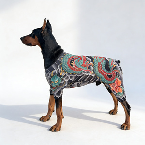 Ropa para mascotas al por mayor con diseño de tatuaje - Traje elástico de cuatro patas para perros Golden <span class=keywords><strong>Retriever</strong></span>, <span class=keywords><strong>Pitbull</strong></span> y Bulldog (Directo de fábrica) - Product Image 6
