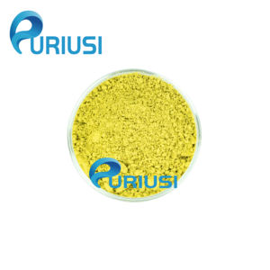 प्राकृतिक सोफोरा जापान 98% क्वासेटिन का 117-39-5 क्वार्सेटिन पाउडर - Product Image 1