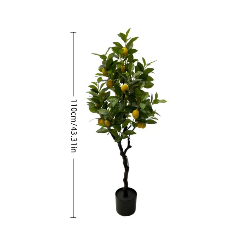 XY2504-2668 110ซม.