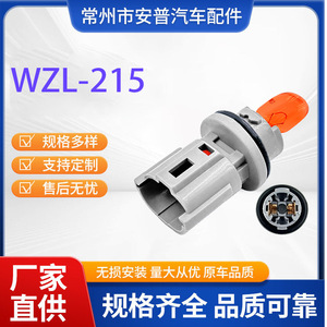 Support de lampe automobile T10 WZL-215 12V pour éclairage de plaque d'immatriculation arrière BYD Qin, pièce de rechange - Product Image 5