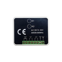 Controlador de Transmisor y Receptor de Código Abierto DC/AC12-30V 2 Canales Multifrecuencia 300-868mhz RF Inalámbrico YET402MF-3.0
