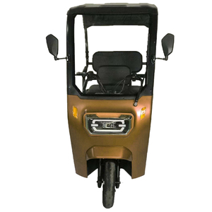 Nuevo Diseño, Triciclo de 3 Ruedas para Adultos, 800W, 60V, con Techo, en Venta - Product Image 3