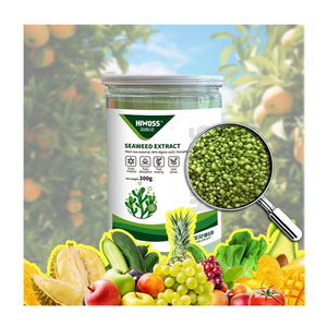 Alginic Acid Alginate Fertilizer Seaweed Extract Powder Effectively Prevented <strong>Nematode</strong> Rooting and Promoted Photosynthesis - Product Image 5