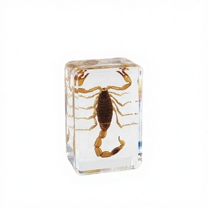 Artesanía de Resina Hecha a Mano, Escorpión Realista en Resina, Taxidermia de Insectos, Escultura de Graduación, Pisapapeles - Product Image 6