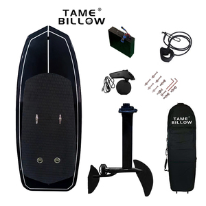 TAME BILLOW New Carbon Fiber <b>Water</b> <b>Sports</b> Stand Motor Engine Hydrofoil Board Efoil Surfboard YH-EF01/02 Power Foil YH-E - Product Image 4