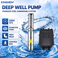 Pompe solaire immergée 4FLP, pompe à eau solaire DC pour puits domestiques et irrigation agricole