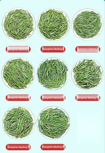 <span class=keywords><strong>Thé</strong></span> vert amincissant Feng <span class=keywords><strong>Huangshan</strong></span> <span class=keywords><strong>Maofeng</strong></span> 2024 - Biologique 500g en vrac, directement de l'usine, service personnalisé avec faible MOQ - Product Image 3