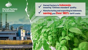 גדול עדיין תיבת אוויר גידולי פטריות צדפות ערכת גידול פטריה למתחילים - Product Image 6