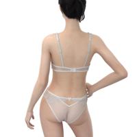 Set Bra & Panty Seksi RTS, Lingerie Push Up Wanita, Pakaian Dalam Lace, Soft Cup, Kawat Penyangga, Mesh, Bra Wanita