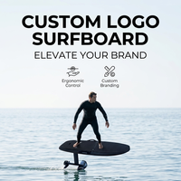 Expédition rapide Planche de surf Efoil texturée effet charbon, hydrofoil motorisé, jetboard volant, fournisseur professionnel pour débutants