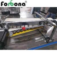 Machine automatique à grande vitesse Forbona FBN-PS60 pour la fabrication de bâtonnets de coton-tige et de sucettes en papier avec moteur PLC