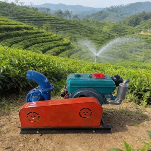 Axially Double Split Casing Centrifuagl Suction Water Pump Garden Greenhouse the Price of Double Suction Centrifugal Pump - Product Image 2
