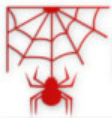 RED SPIDER NETWORK LIMITED logo