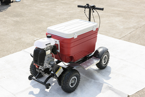 Glacière de petite taille à bon <span class=keywords><strong>prix</strong></span> pour adultes, utilisation en plein air, camping, scooter - Product Image 4