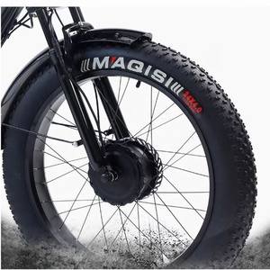Triciclo <span class=keywords><strong>Elettrico</strong></span> per Adulti con Motore Brushless 48V 750W, Lunga Autonomia, 7 Velocità, Bici Elettrica a Tre Ruote per Città - Product Image 4