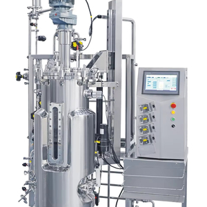 Systèmes de fermentation pilote de 150 L, bioréacteur bactérien industriel - Product Image 1