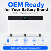 Batería Solar de Suelo LiFePO4 de 30kWh 51.2V 600Ah 200A, Sistema de Almacenamiento de Energía Doméstica para Distribuidores Solares