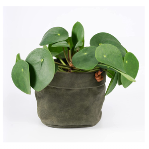 Housse de pot de fleurs en <span class=keywords><strong>toile</strong></span> cirée faite à la main, pot suspendu <span class=keywords><strong>pour</strong></span> plantes d'intérieur, panier suspendu <span class=keywords><strong>pour</strong></span> plantes - Product Image 3
