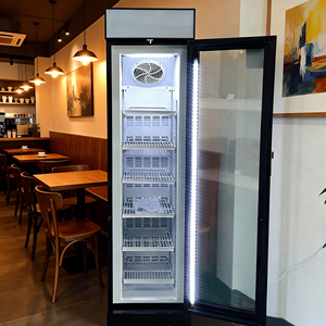 Vitrine Réfrigérée Commerciale pour Crèmes Glacées, <span class=keywords><strong>Armoire</strong></span> Verticale Ultra-Mince à Porte Vitrée pour Présentation de Crèmes Glacées - Product Image 3